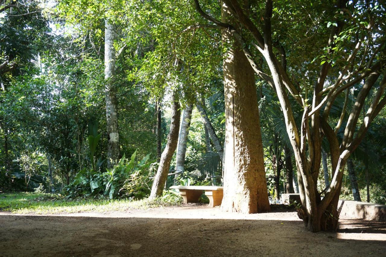 Nature'S Hideout Holiday Home Mirigama Exterior foto